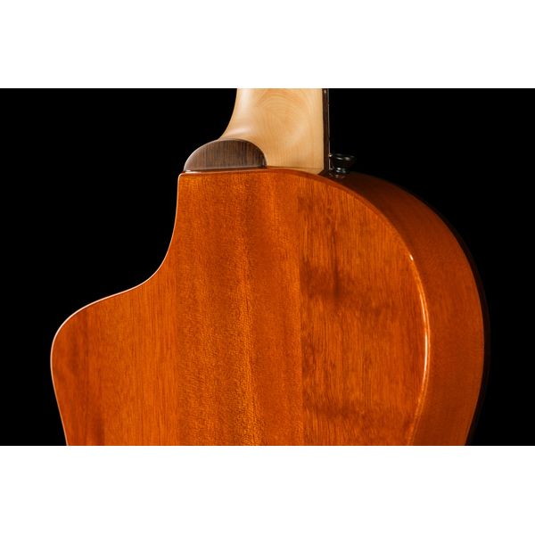Ortega RTPG-LS2