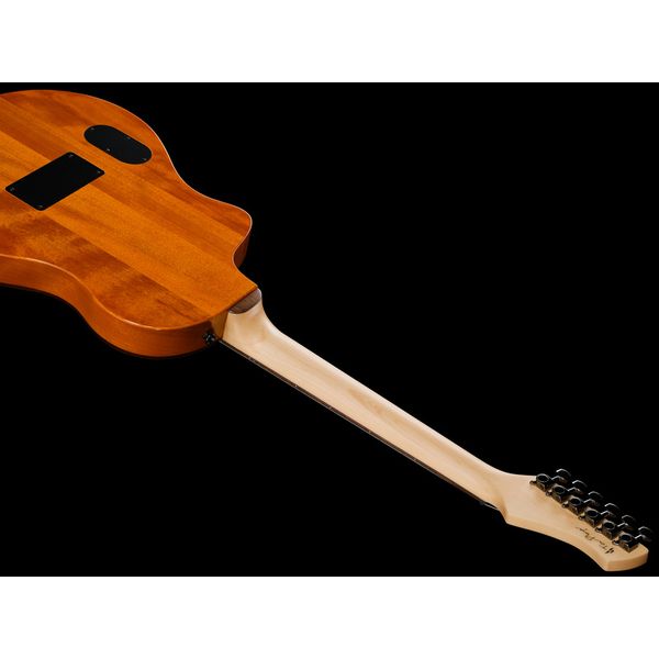 Ortega RTPG-LS2