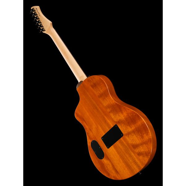 Ortega RTPG-LS2