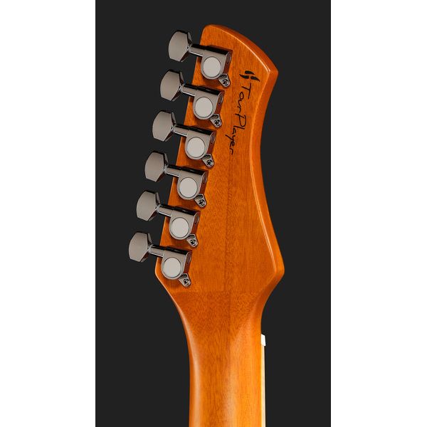 Ortega RTPG-LS1