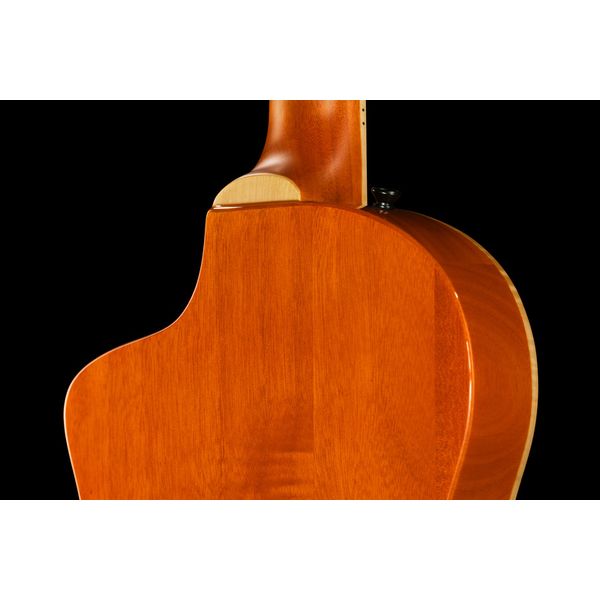 Ortega RTPG-LS1