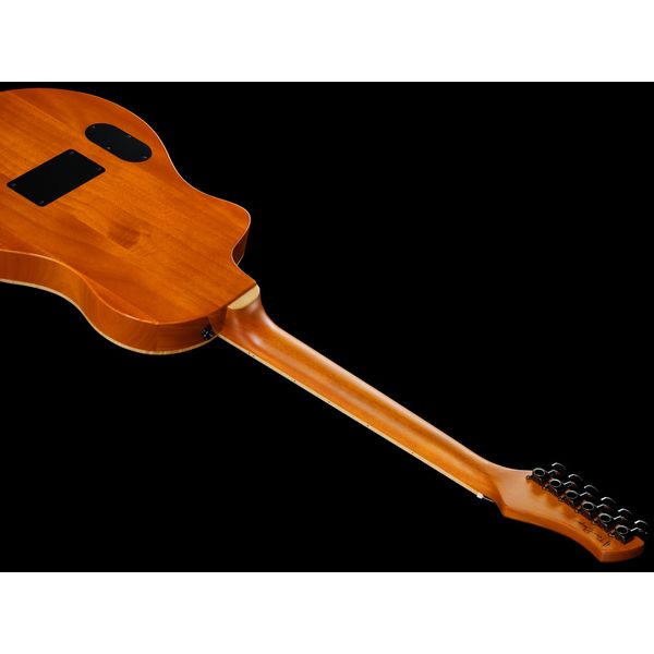 Ortega RTPG-LS1