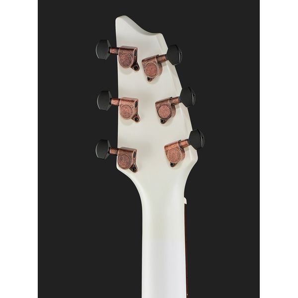 Breedlove Discovery S Concert CE
