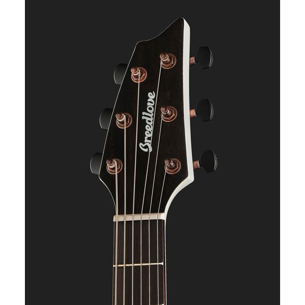 Breedlove Discovery S Concert CE