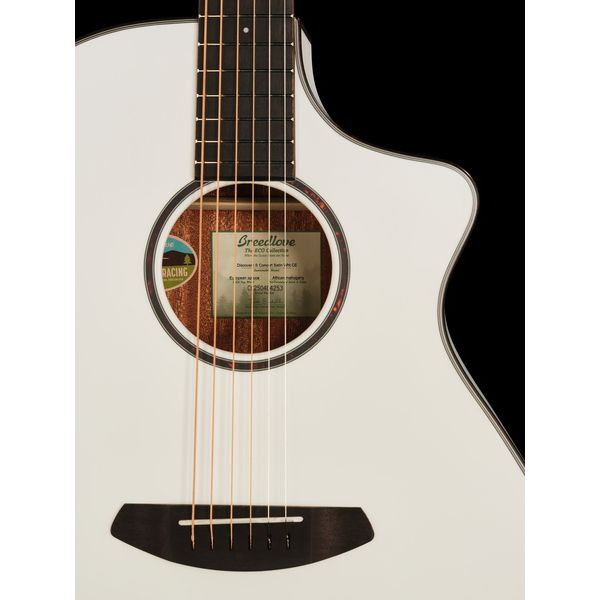 Breedlove Discovery S Concert CE