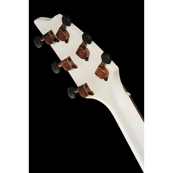 Breedlove Discovery S Concert CE