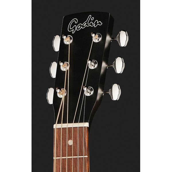 Godin Mahog Parlor A E
