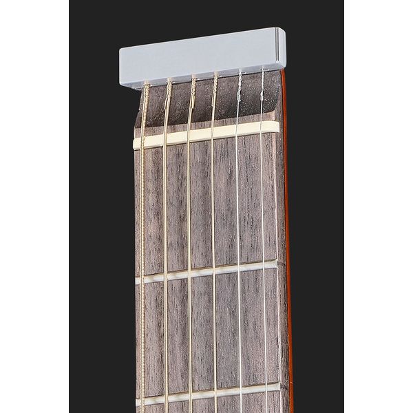 Traveler Guitar Traveler Maple AB