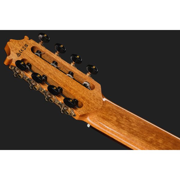 Ibanez GA3008CE-NT