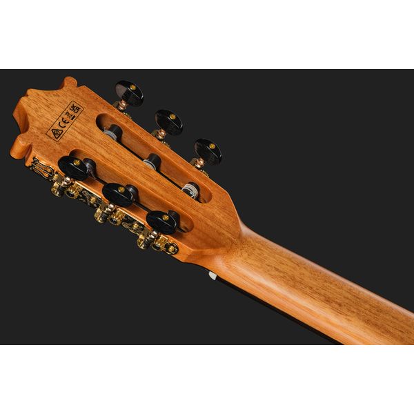 Ibanez GA360TCE-NT