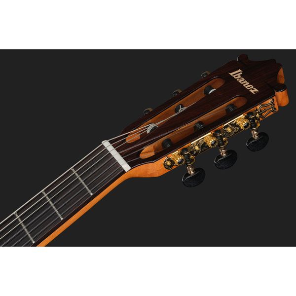 Ibanez GA360TCE-NT