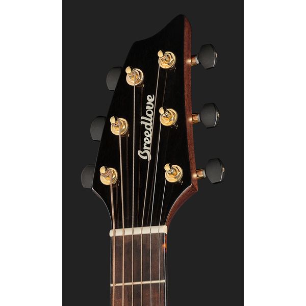 Breedlove Performer Pro Concert T Ce Ir