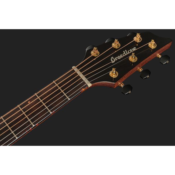 Breedlove Performer Pro Concert T Ce Ir