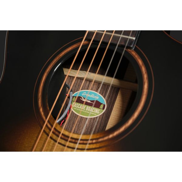 Breedlove Performer Pro Concert T Ce Ir