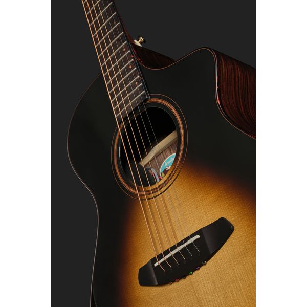 Breedlove Performer Pro Concert T Ce Ir