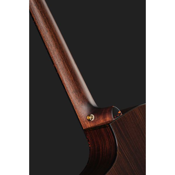 Breedlove Performer Pro Concert T Ce Ir
