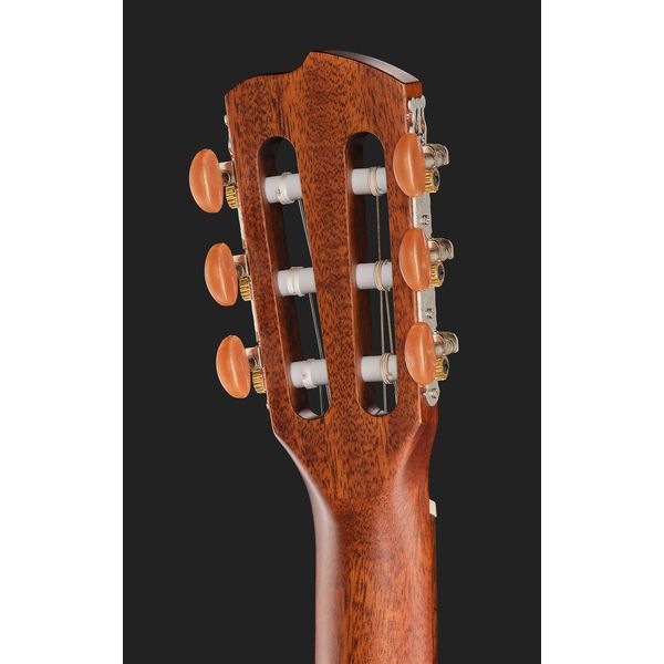 Breedlove Discovery S Concert Nylon CE