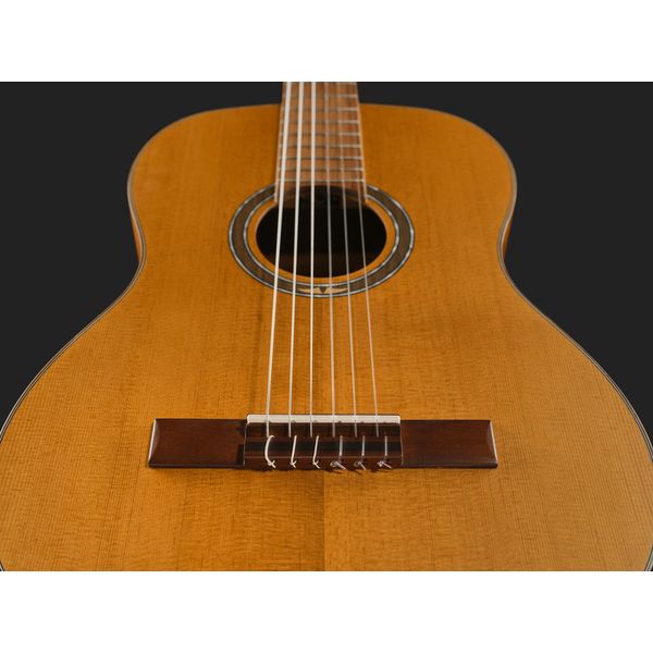 Ortega R23RO