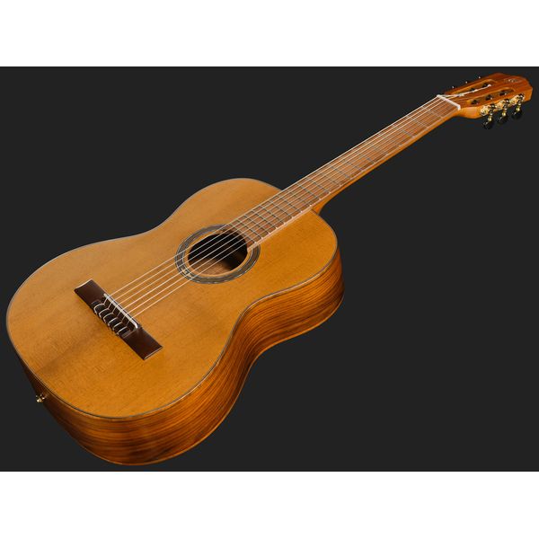 Ortega R23RO