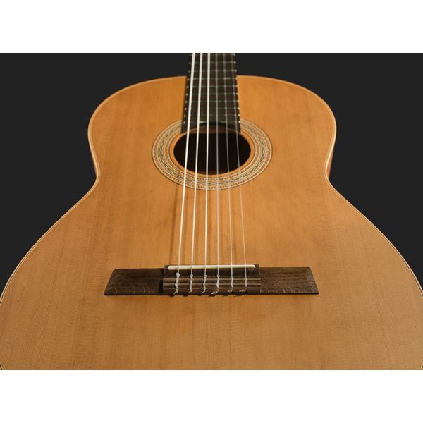 Höfner HLE-TIZ24 Cedar Tineo