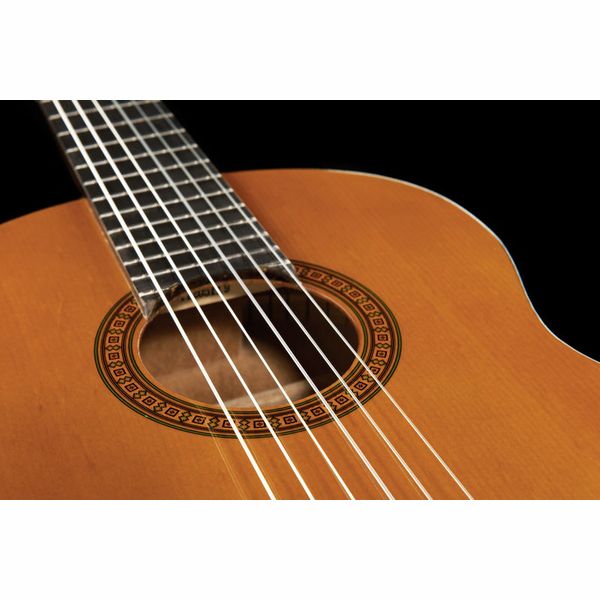 Yamaha CGS102A
