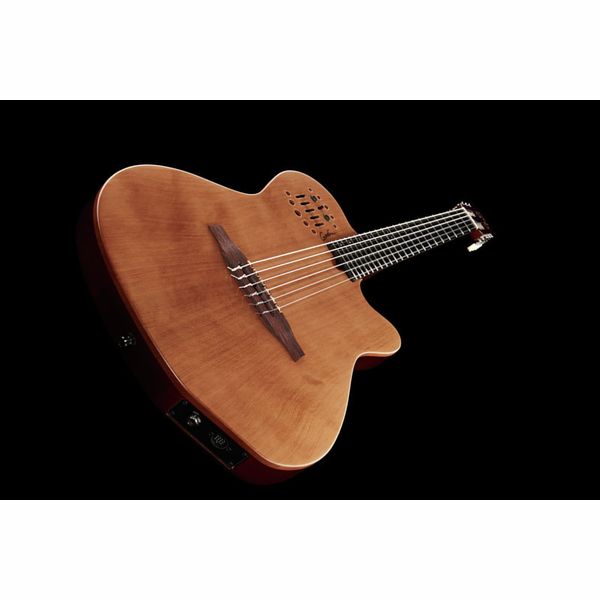 Godin ACS Nylon