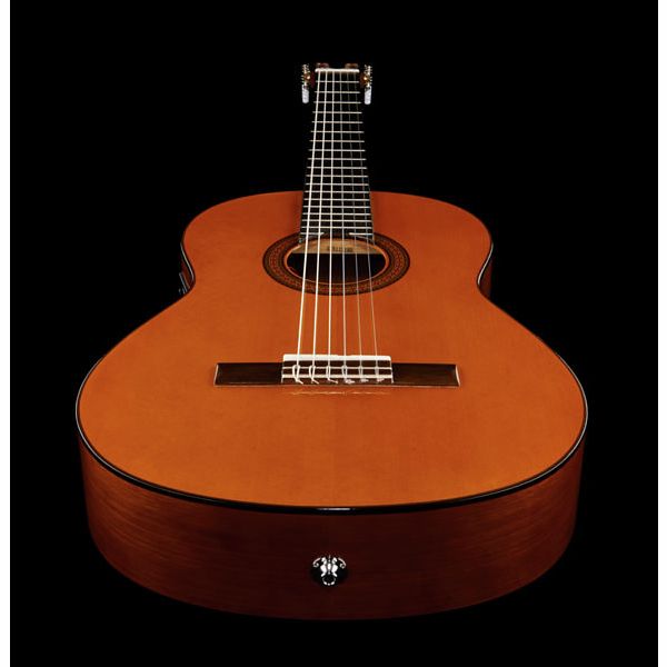 Yamaha CGX 102