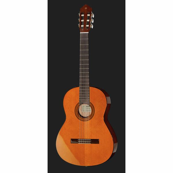 Yamaha CGX 102