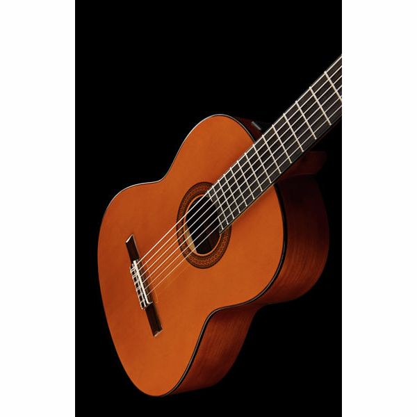 Yamaha CGX 102