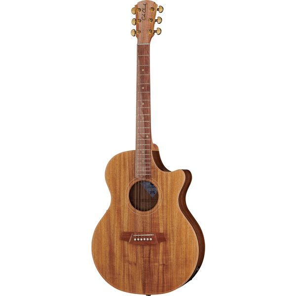Test de la Cole Clark AN2EC-BLBL Angel: guitare acoustique haut de gamme
