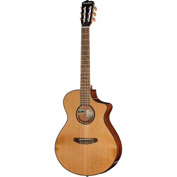 Test Breedlove Discovery S Concert Nylon CE: avis complet et technique