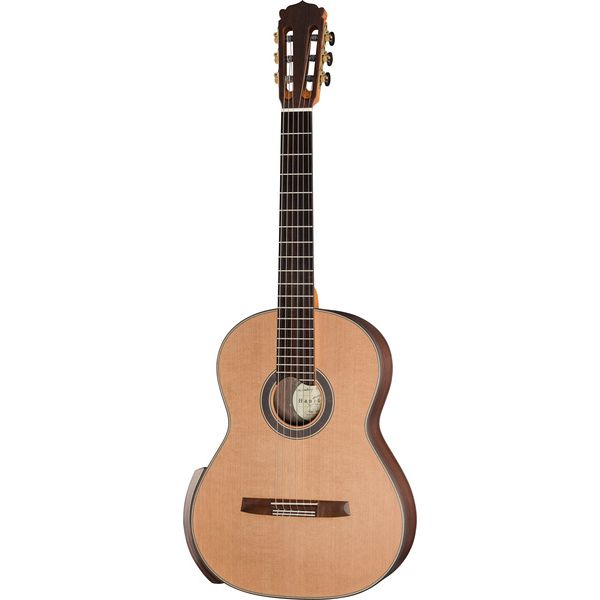 Test de la guitare Hanika NewCentury-DTL Thermo Neck: essai détaillé