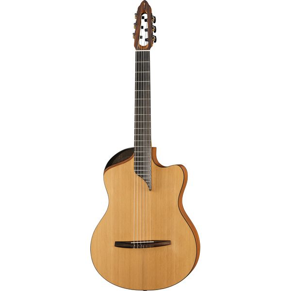 Test de la NOVA Guitars Innovator W Pu: essai complet et avis technique